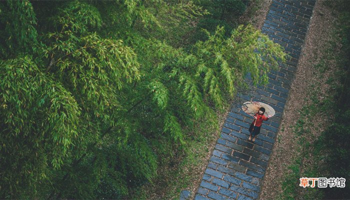 芳林新叶催陈叶江水前波让后波歌颂翻译 芳林新叶催陈叶江水前波让后波歌颂的是什么