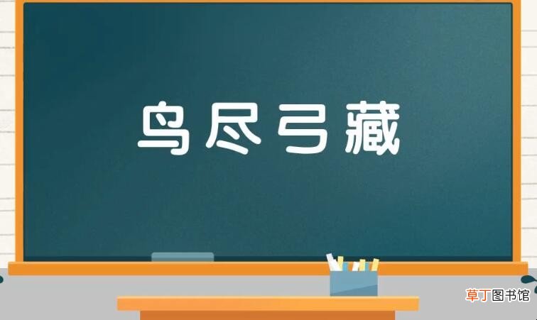 鸟什么弓什么成语是什么