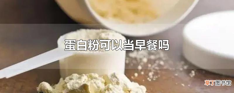 蛋白粉可以当早餐吗