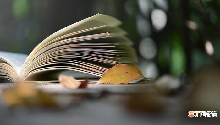 有弗学学之弗能弗措也全文翻译 有弗学学之弗能弗措也译文