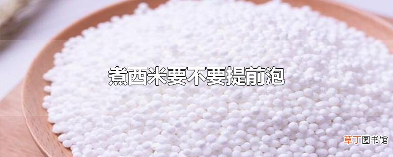 煮西米要不要提前泡