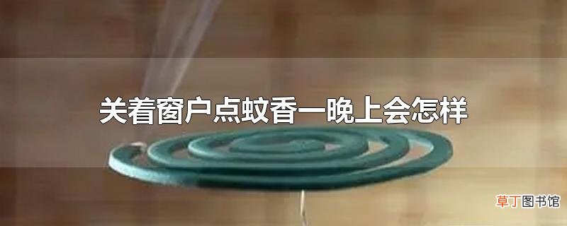 关着窗户点蚊香一晚上会怎样