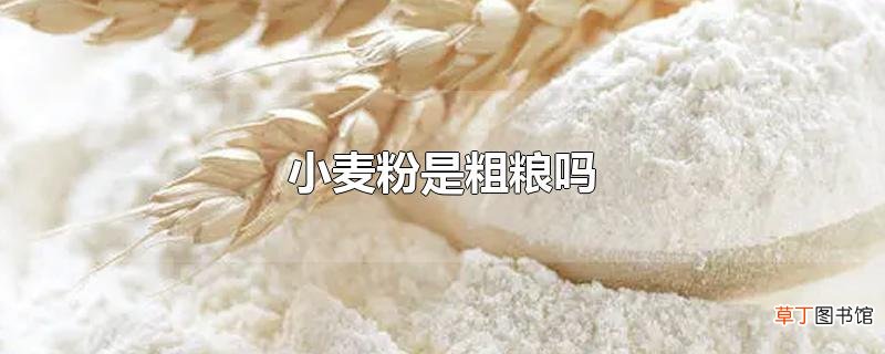 小麦粉是粗粮吗