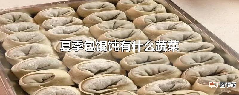夏季包馄饨有什么蔬菜