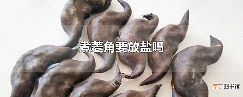 煮菱角要放盐吗
