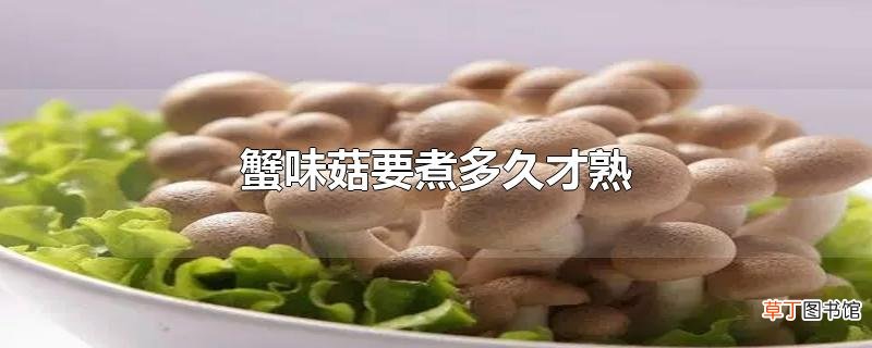 蟹味菇要煮多久才熟
