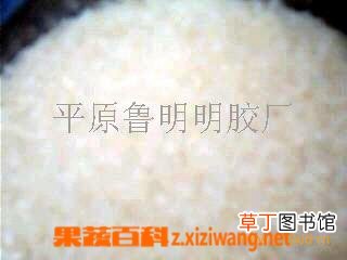 黄明胶粥