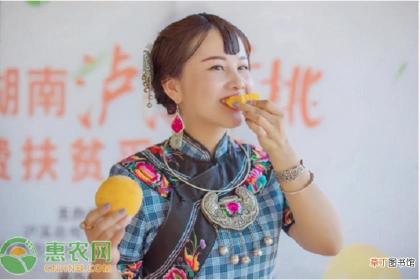 抖音营销策略分析 抖音运营策划方案范文