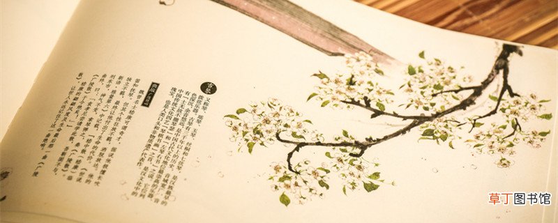 不义不昵,厚将崩翻译 不义不昵,厚将崩怎么翻译