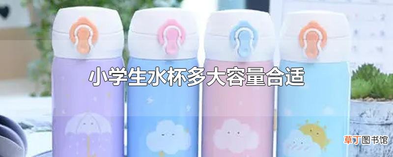 小学生水杯多大容量合适