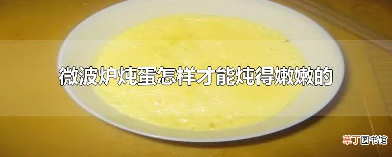 微波炉炖蛋怎样才能炖得嫩嫩的