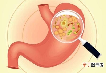 寒热错杂型慢性胃炎怎么治-寒热错杂型慢性胃炎治疗方案