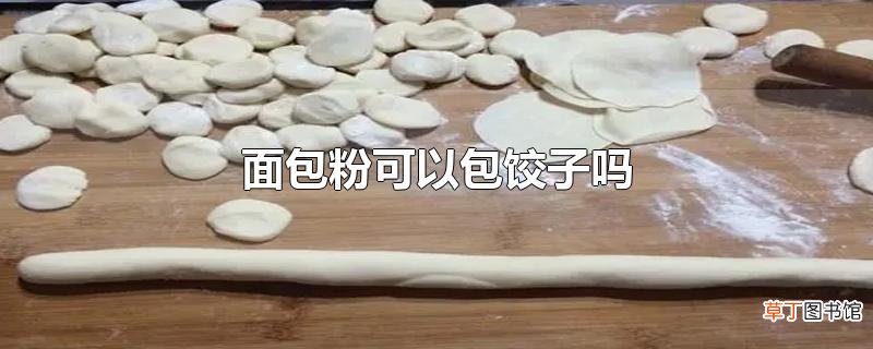 面包粉可以包饺子吗
