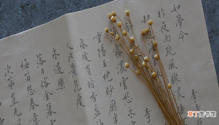课外古诗词及赏析 课外古诗词赏析