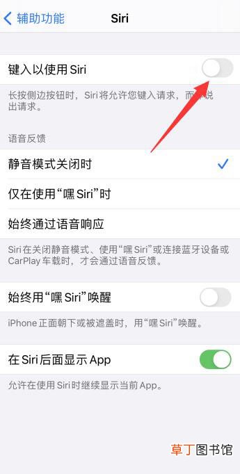 苹果11siri唤醒后不说话
