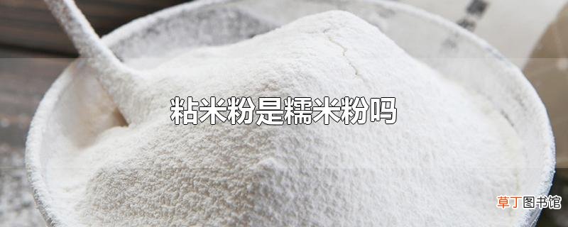 粘米粉是糯米粉吗