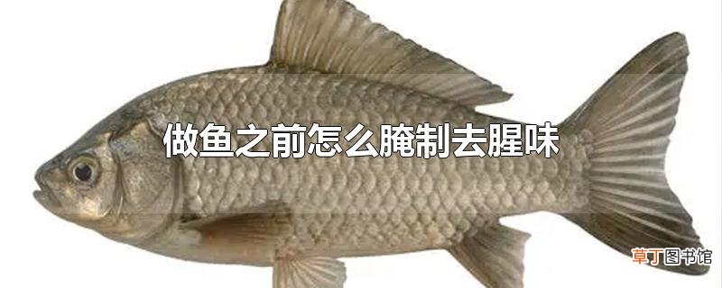 做鱼之前怎么腌制去腥味