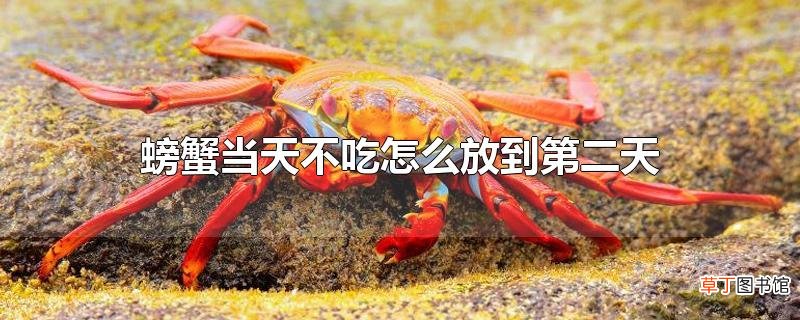 螃蟹当天不吃怎么放到第二天