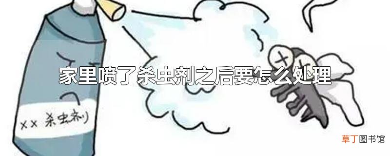 家里喷了杀虫剂之后要怎么处理