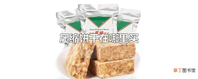 压缩饼干在哪里买