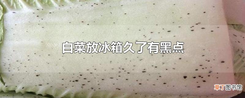 白菜放冰箱久了有黑点