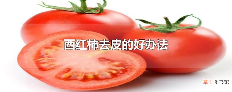西红柿去皮的好办法