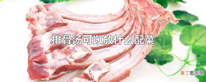 排骨汤可以放什么配菜