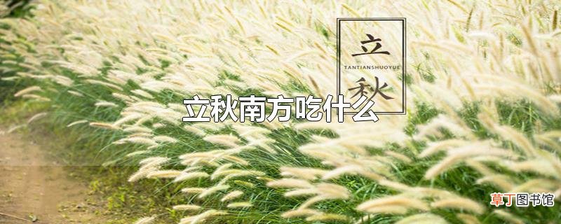 立秋南方吃什么