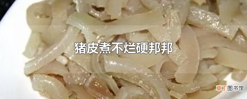 猪皮煮不烂硬邦邦