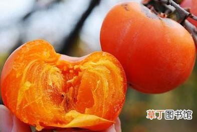 怎么吃柿子不沾手?巧吃柿子不沾手的方法