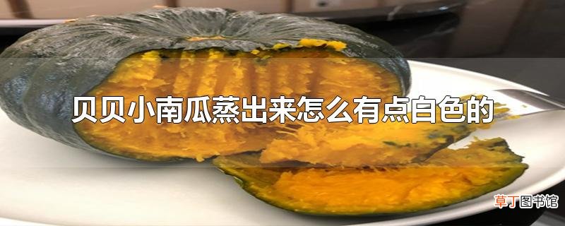 贝贝小南瓜蒸出来怎么有点白色的