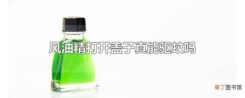 风油精打开盖子真能驱蚊吗