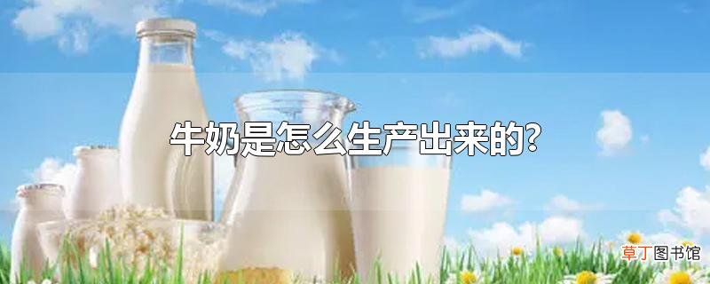 牛奶是怎么生产出来的?