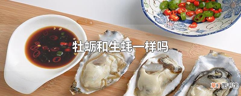牡蛎和生蚝一样吗