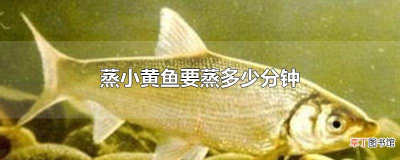蒸小黄鱼要蒸多少分钟