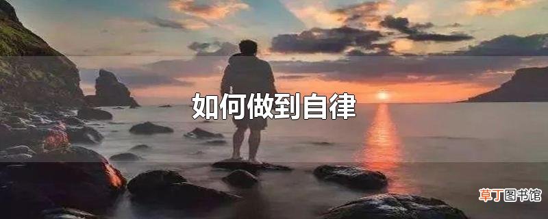 怎么做到自律