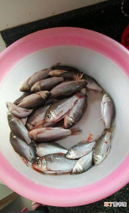 怎么红烧小鱼好吃