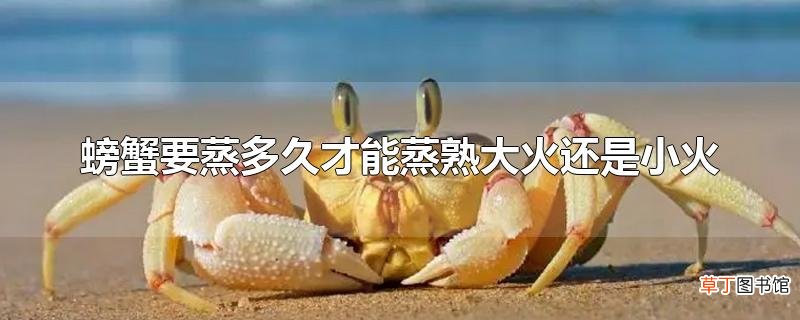 螃蟹要蒸多久才能蒸熟大火还是小火
