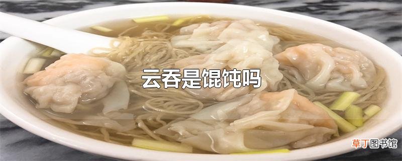 云吞是馄饨吗