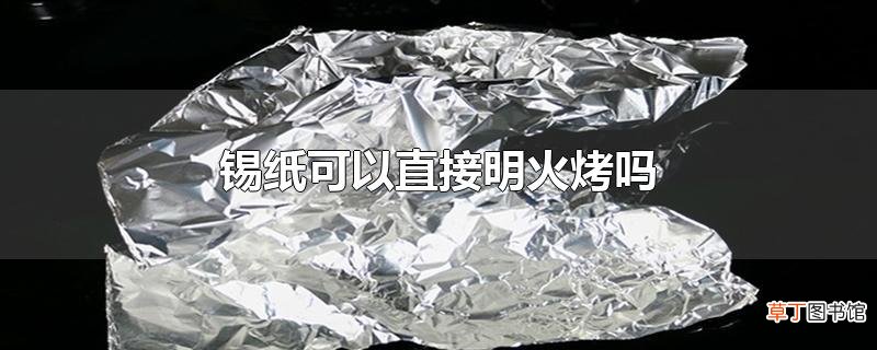 锡纸可以直接明火烤吗
