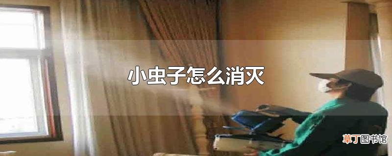 小虫子怎么消灭