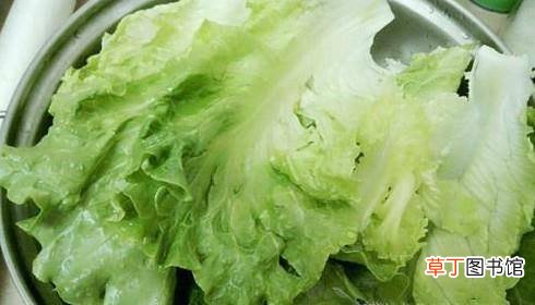 生菜的做法大全,怎么做蚝油生菜
