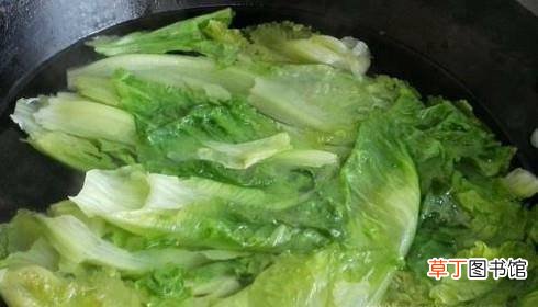 生菜的做法大全,怎么做蚝油生菜