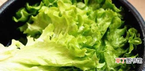 生菜的做法大全,怎么做蚝油生菜