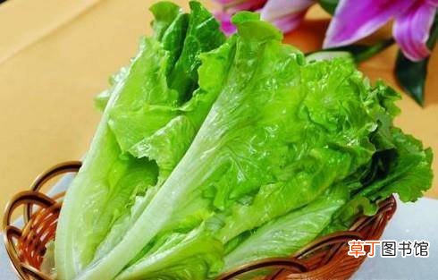 生菜的做法大全,怎么做蚝油生菜