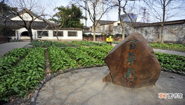 鲁迅的杂文集是什么?有哪些作品? 鲁迅的杂文集有哪些作品