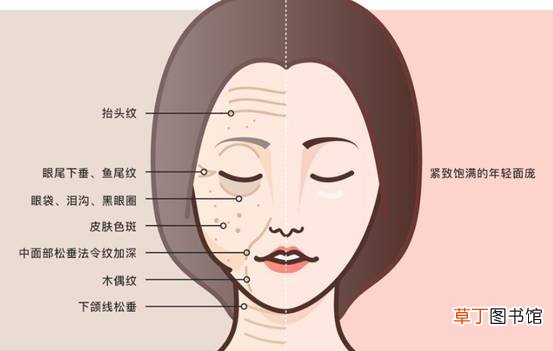 美容面部提升几种方法