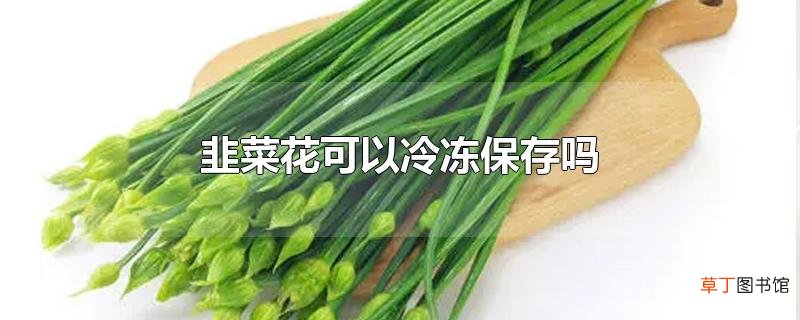 韭菜花可以冷冻保存吗