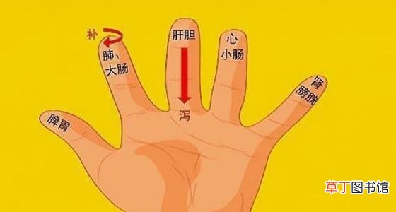 5个手指头代表哪五脏-5个手指分别代表哪五脏