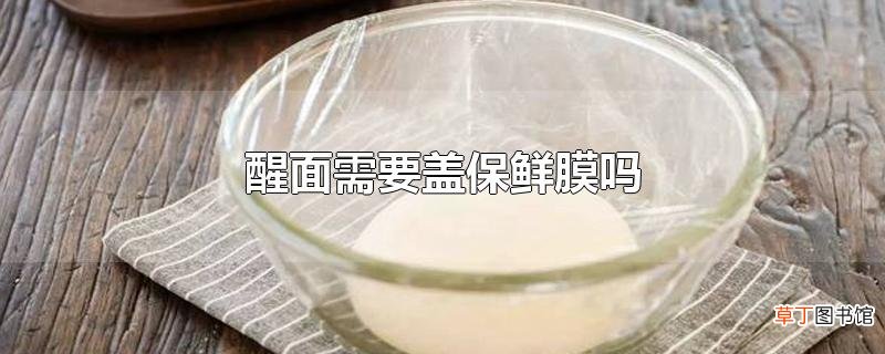 醒面需要盖保鲜膜吗